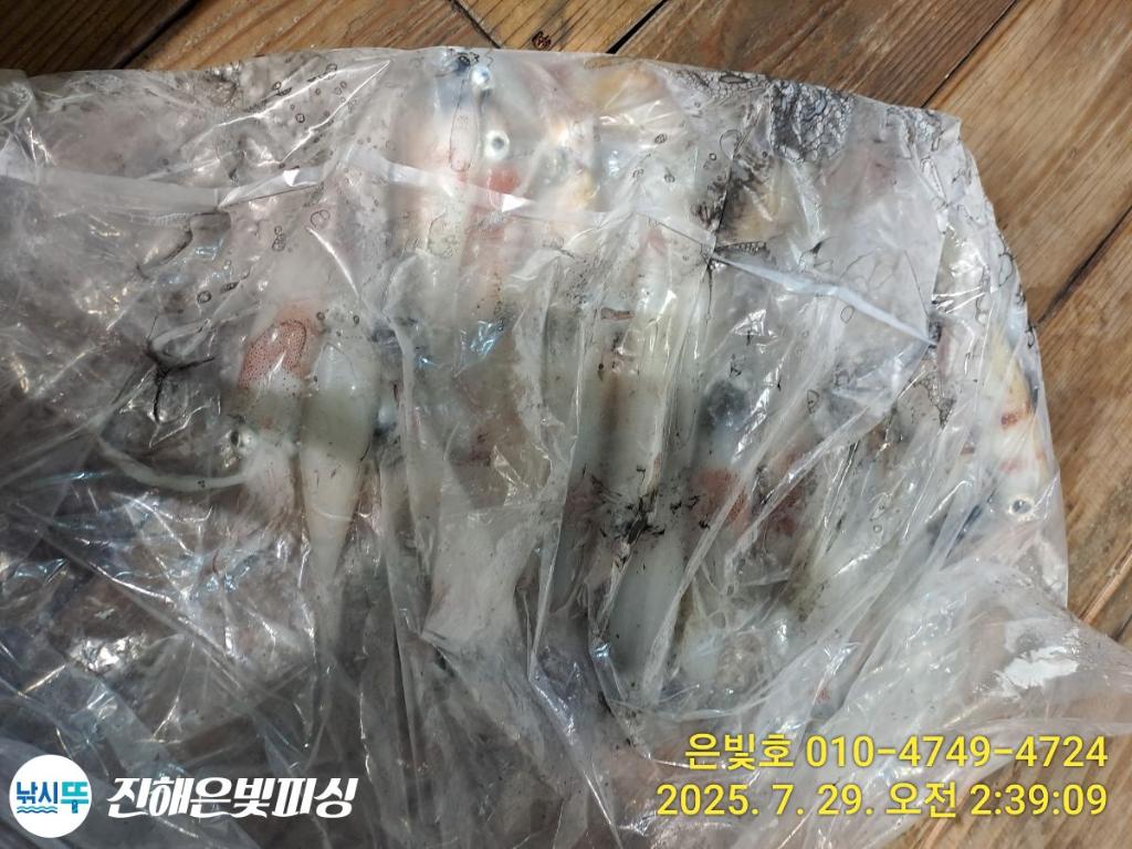 F27343915U.jpg