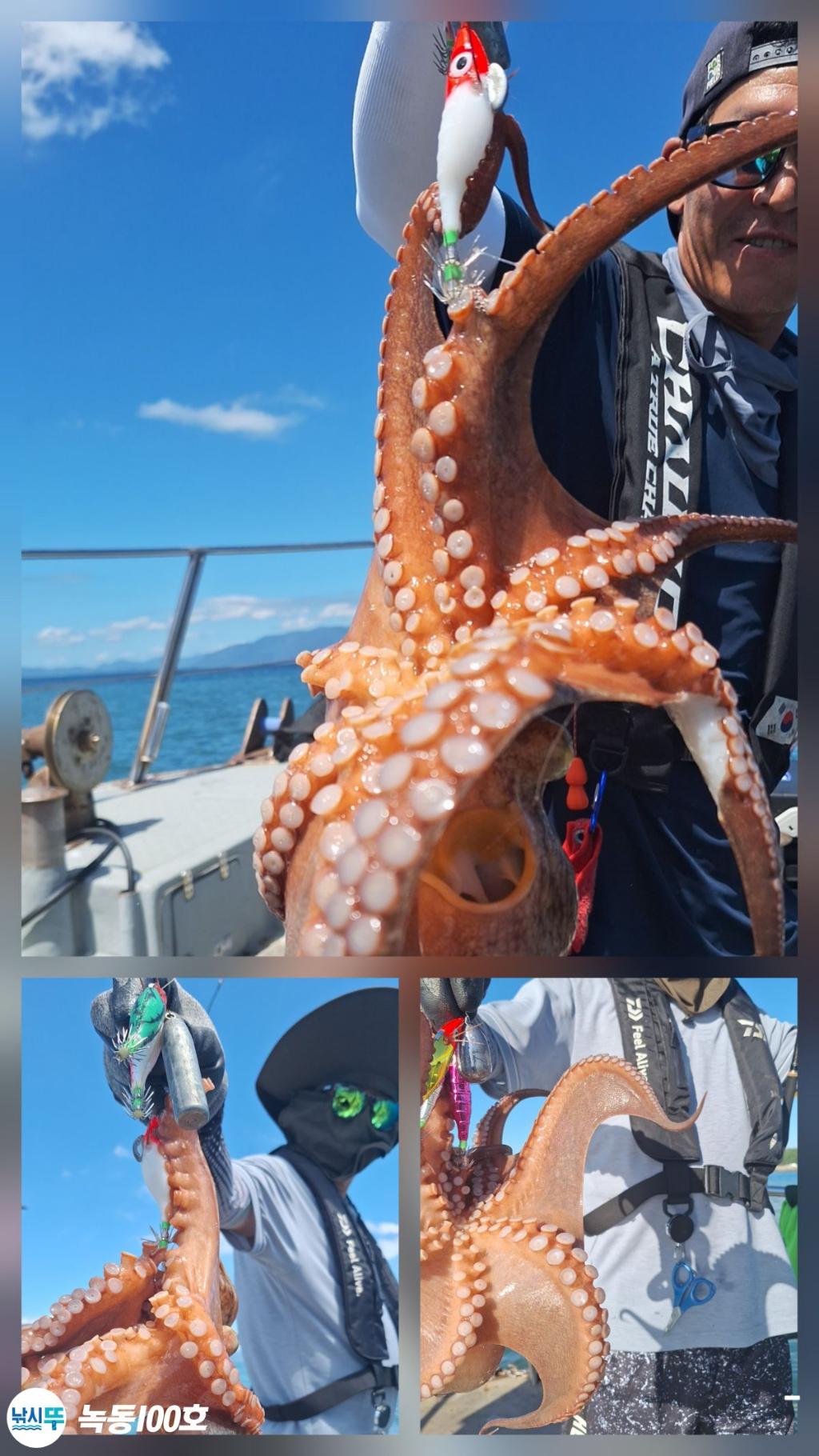 F2734640P7.jpg
