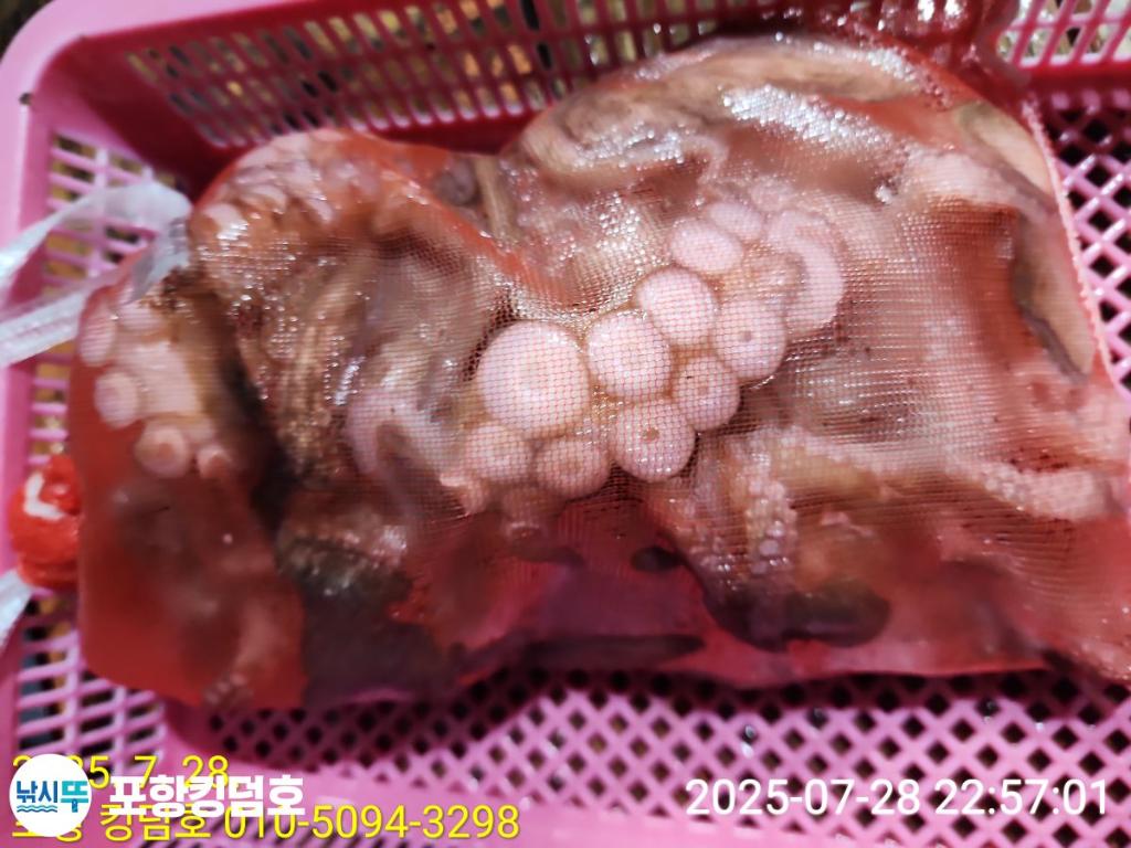 F2734707BU.jpg