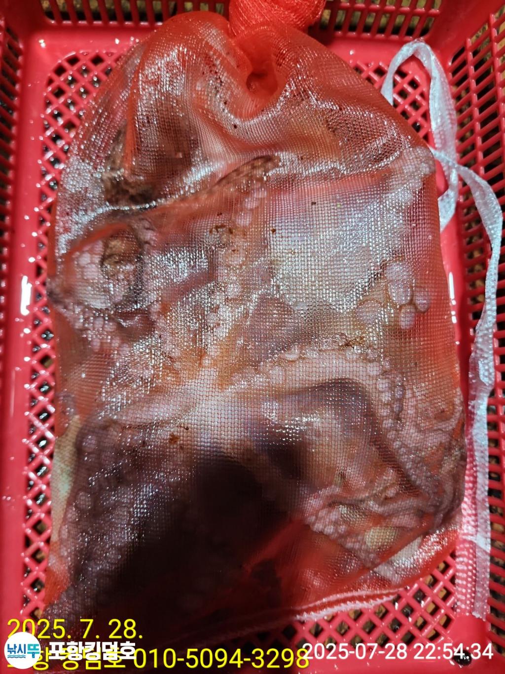 F2734711DE.jpg