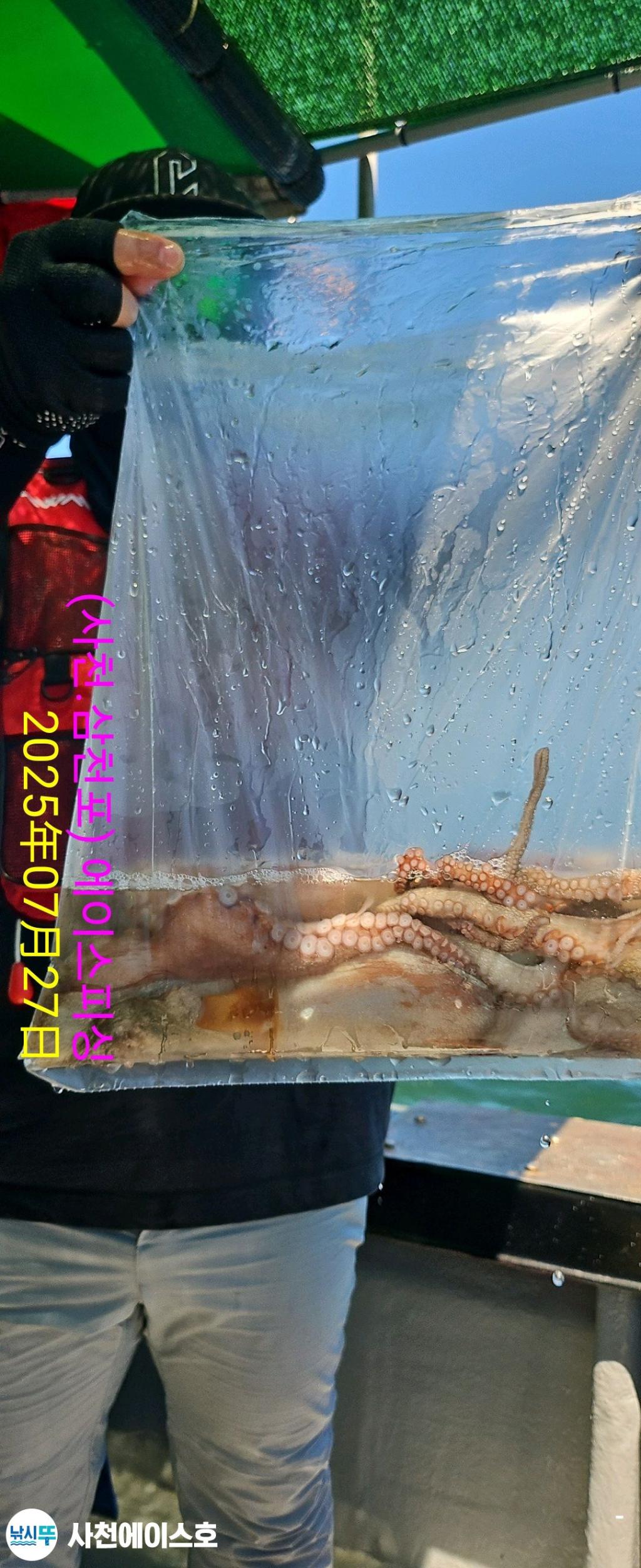 F27348393U.jpg
