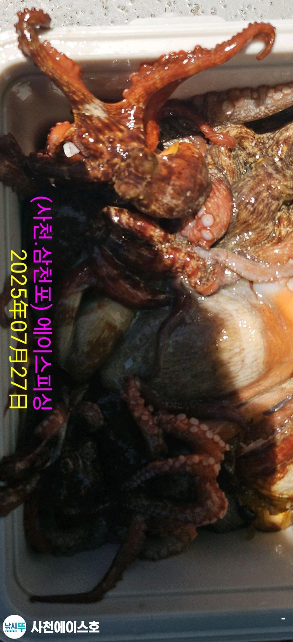 F2734841JG.jpg