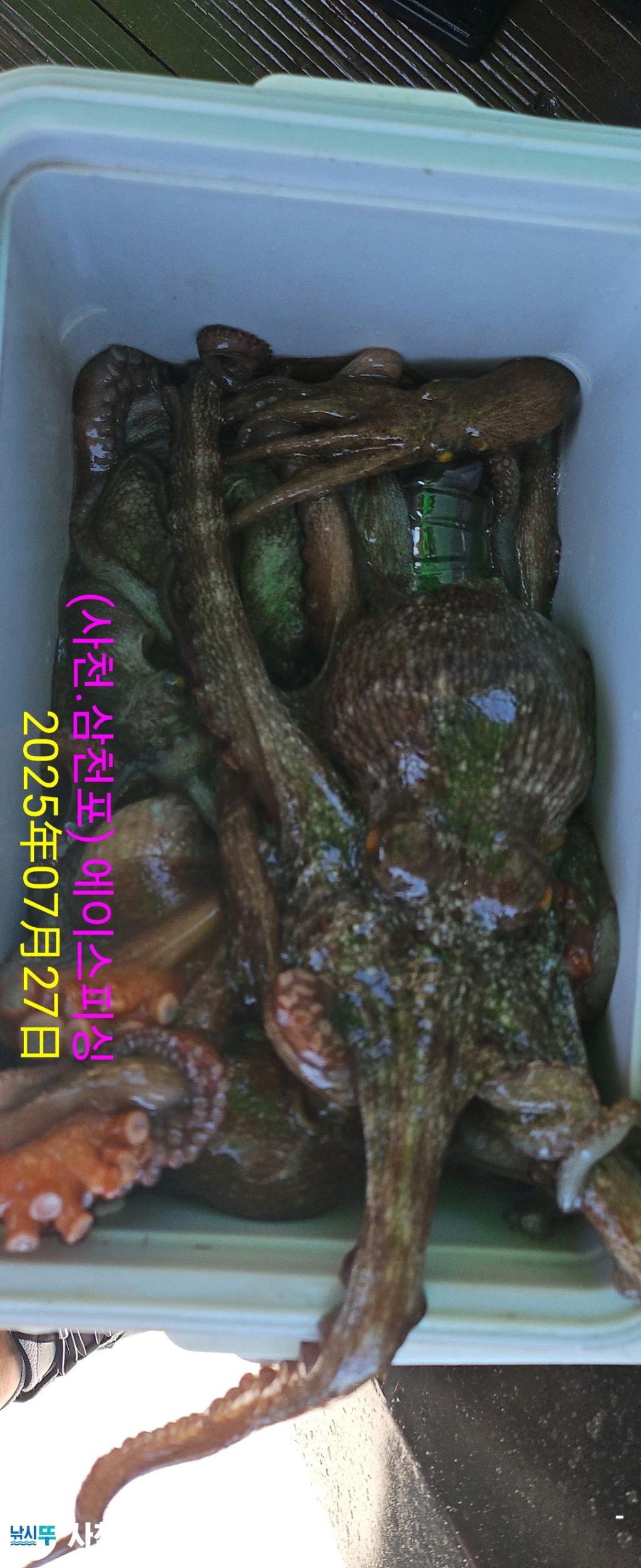 F273484215.jpg
