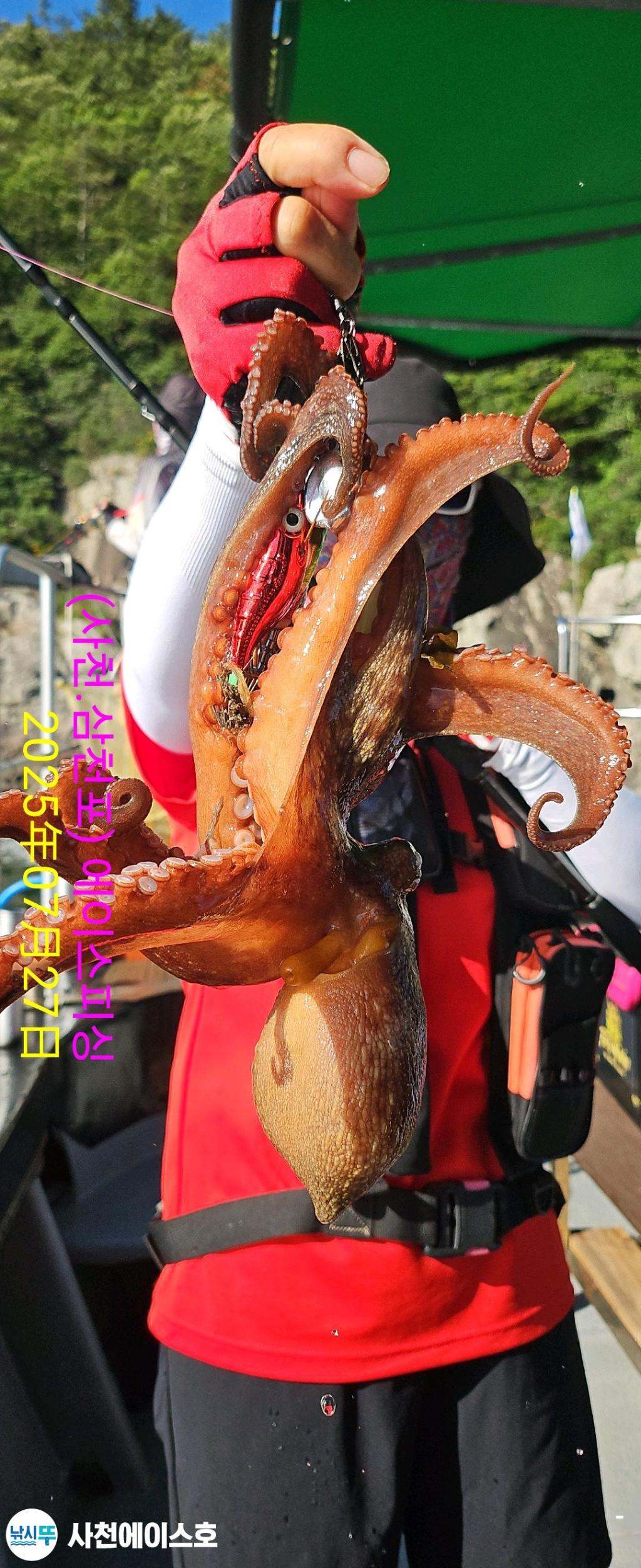 F2734850ID.jpg
