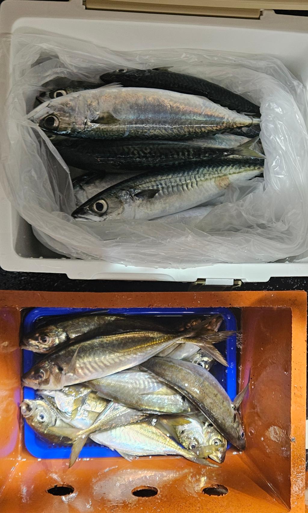 F273492601.jpg