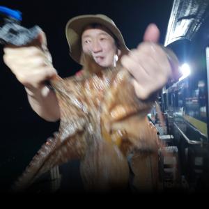 조황, 7-28(밤문어)돌문어~~화.수목 야간 모집중