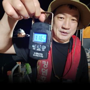 조황, 돌문어 뜯으실분~수.목.토.일 야간 출항