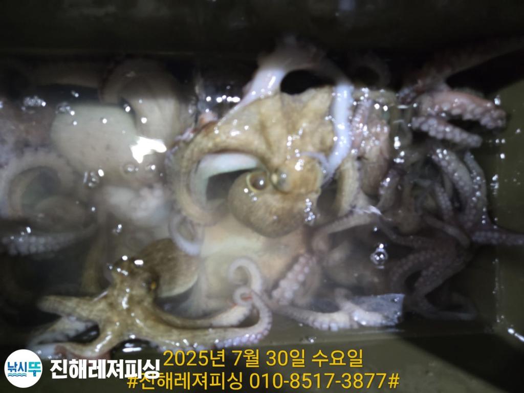 F27349990Y.jpg