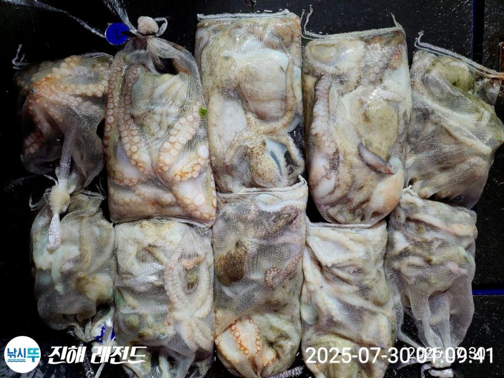 F2735313MF.jpg