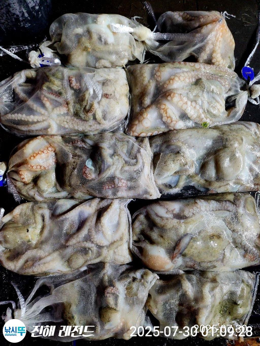 F2735315V9.jpg