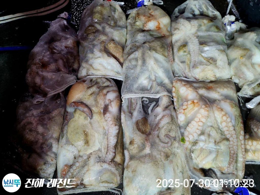 F2735318YU.jpg