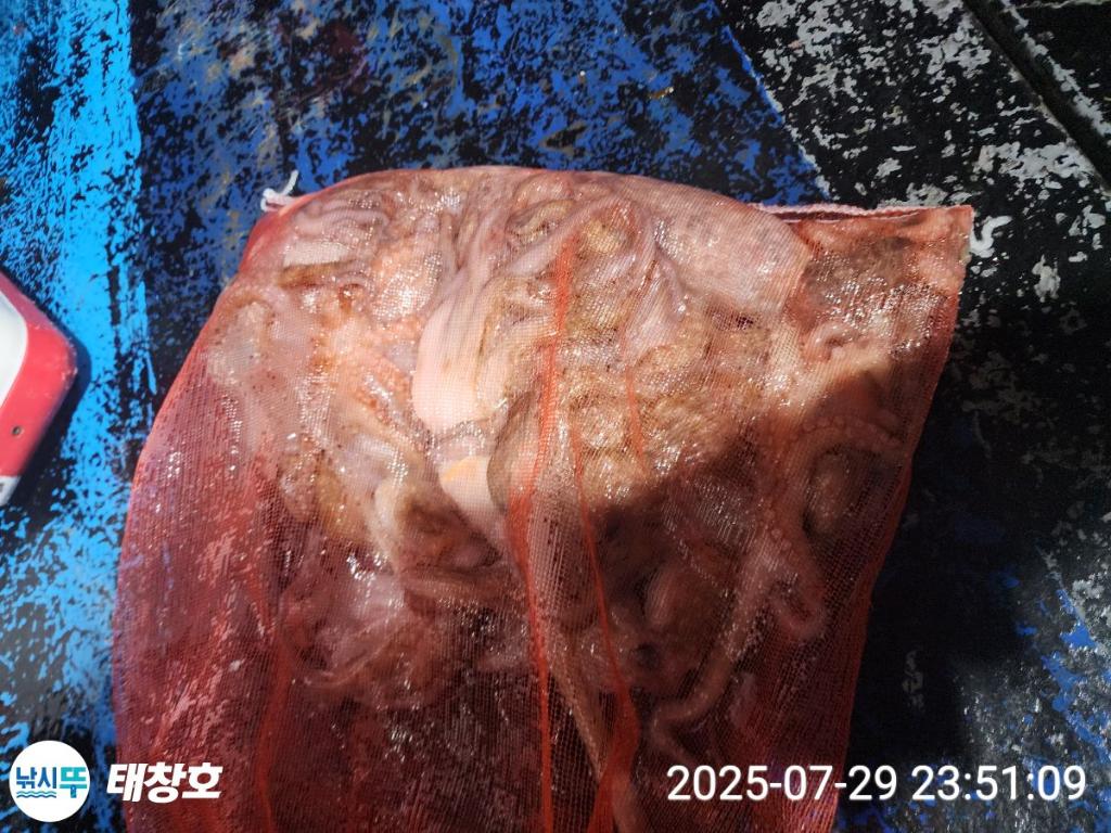 F2735393SS.jpg