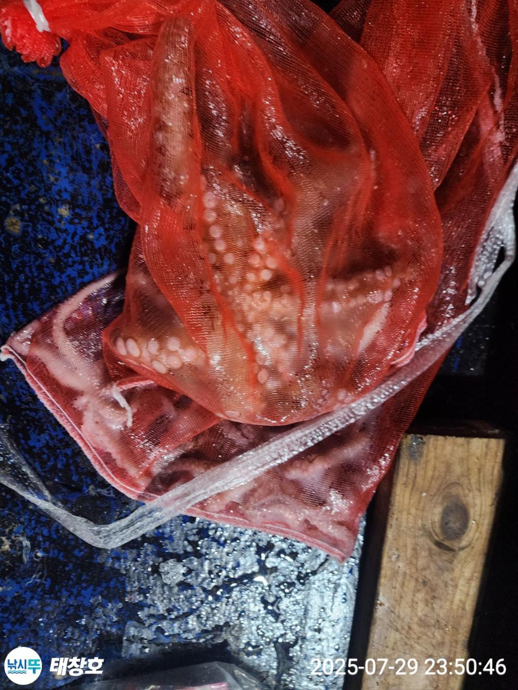 F2735394W5.jpg