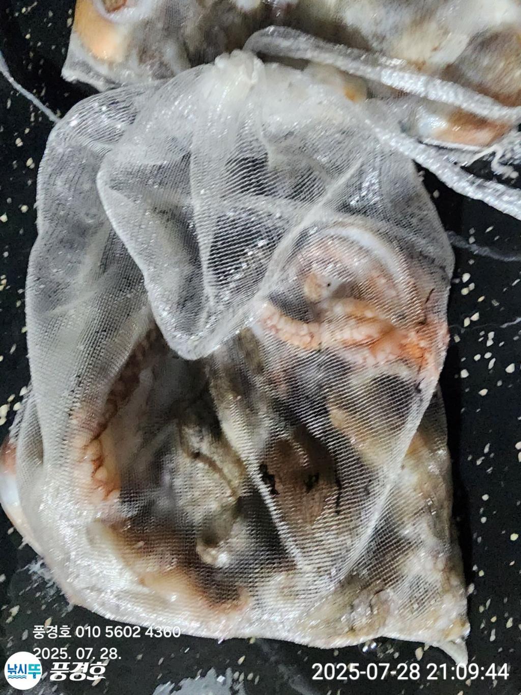 F273555951.jpg