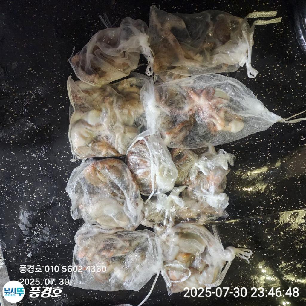 F2735761SD.jpg