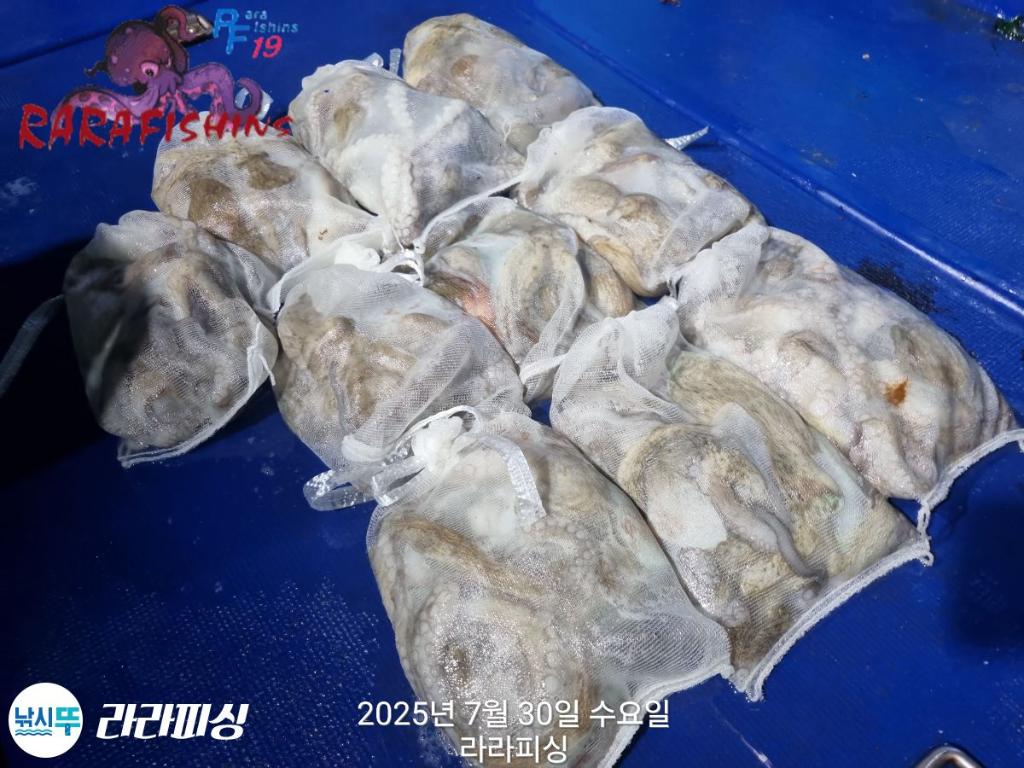 F2736264US.jpg
