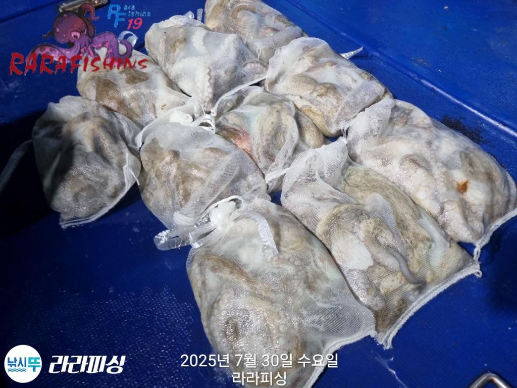F2736265TR.jpg