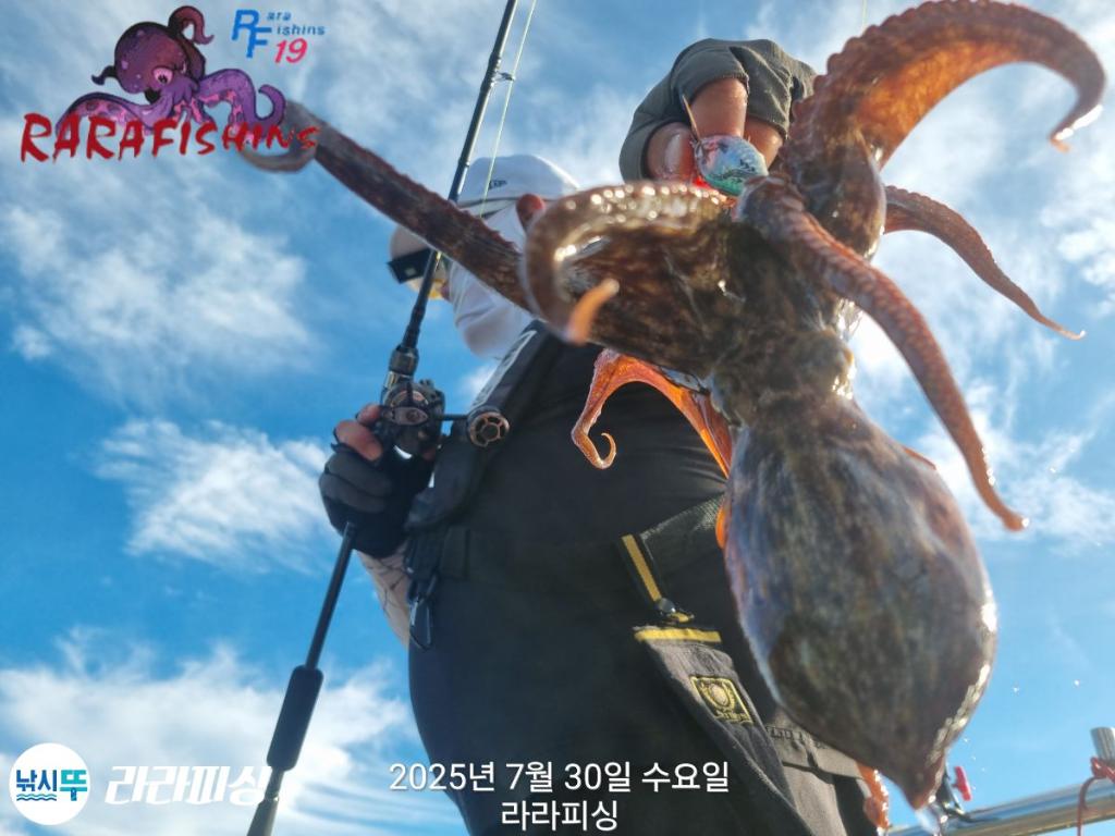 F2736284KR.jpg