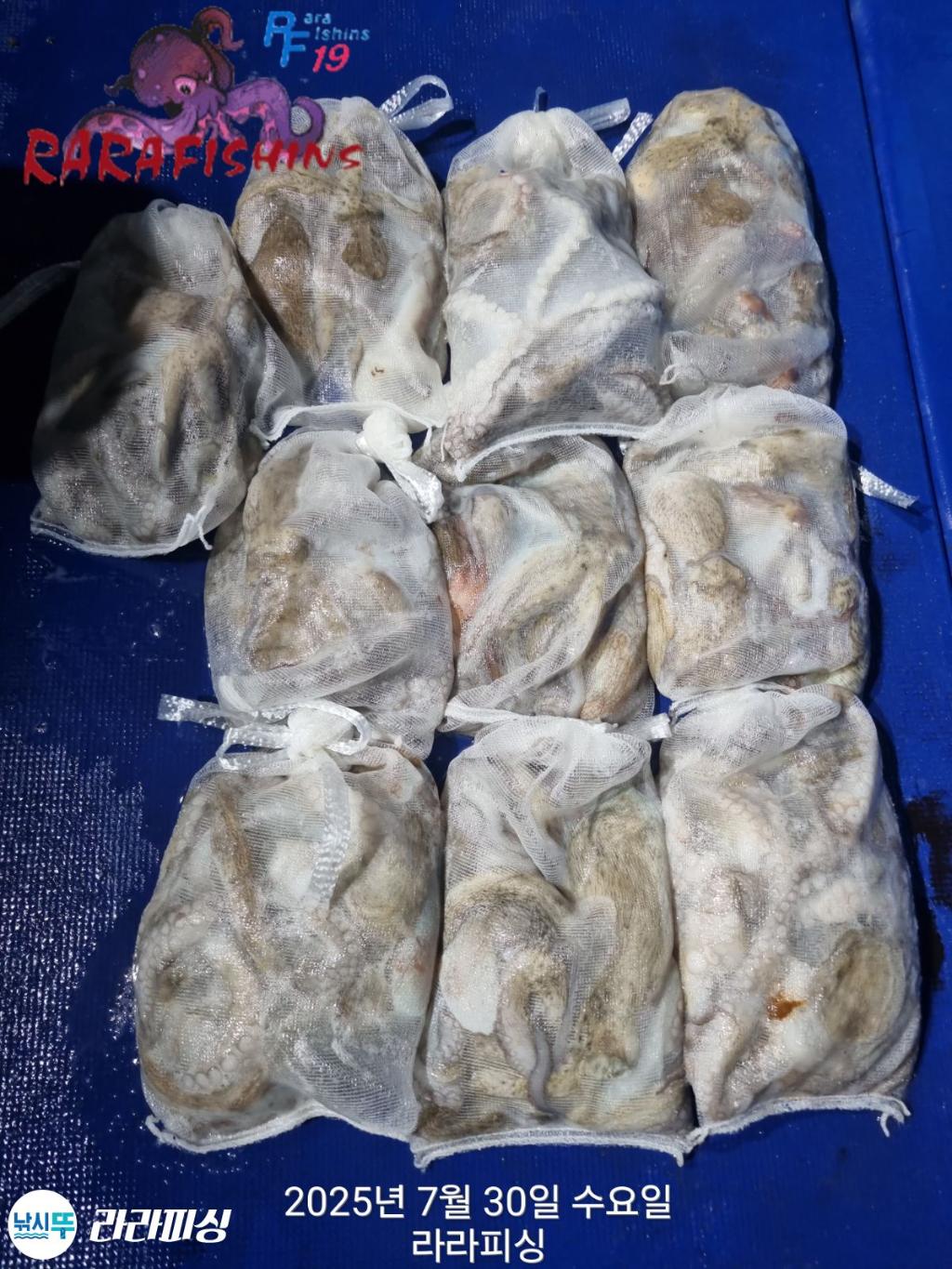 F27362884X.jpg