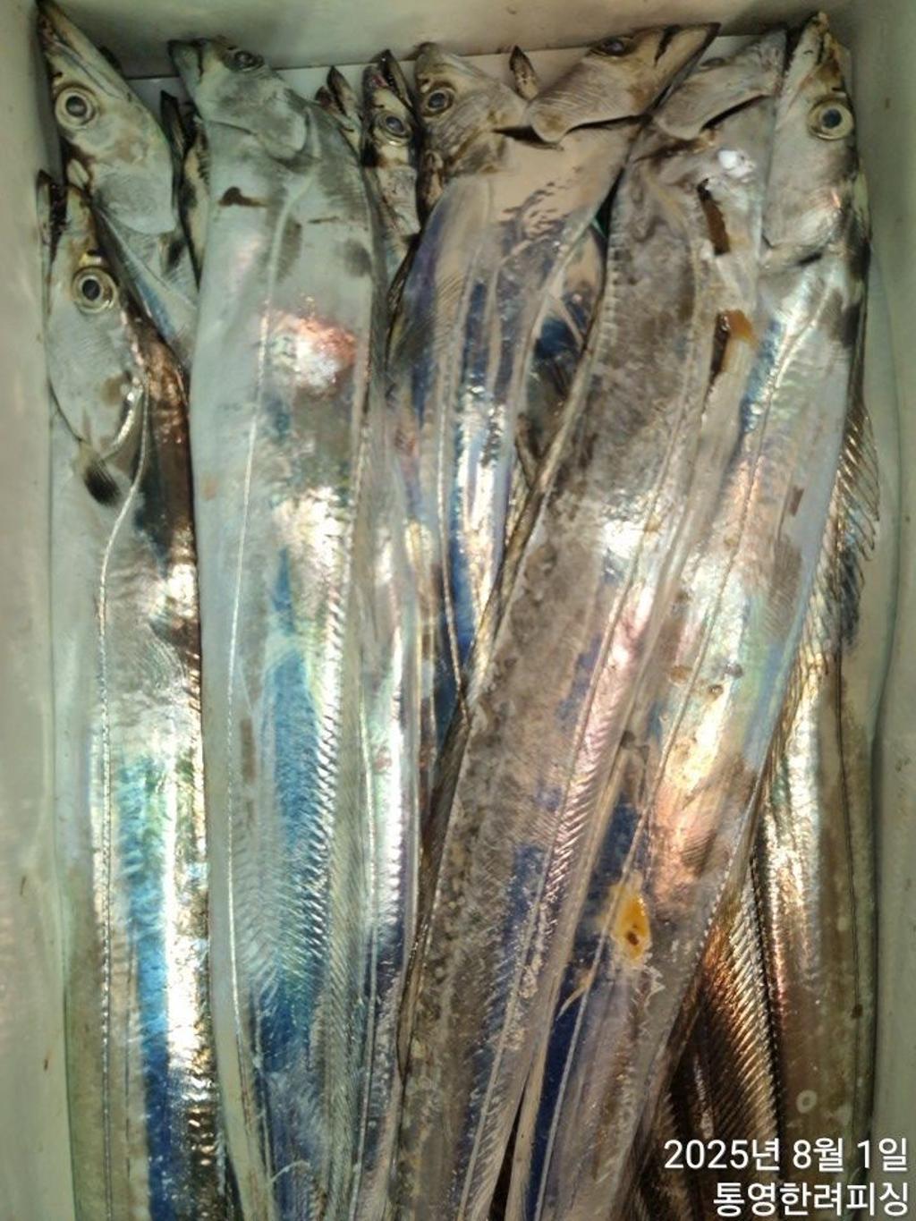 F2736461ZM.jpg