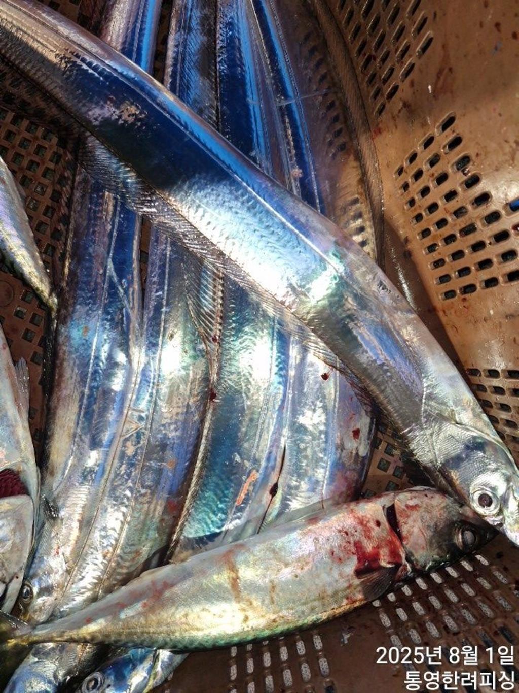 F2736470KG.jpg