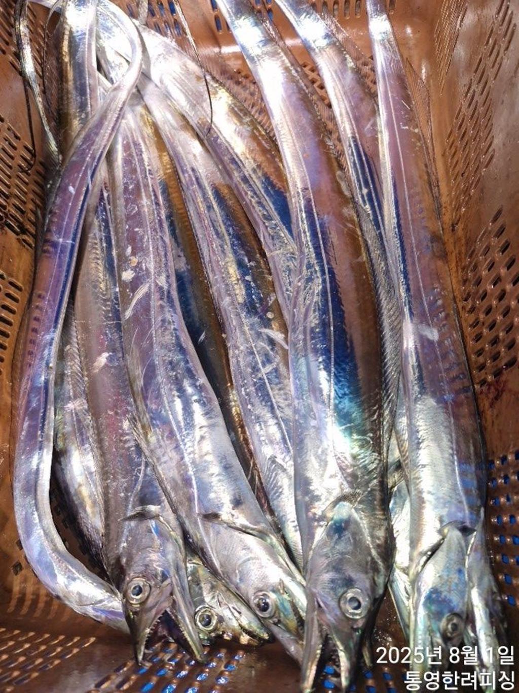 F2736490TJ.jpg