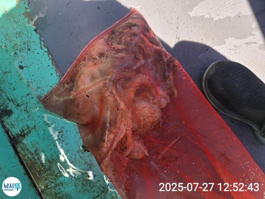 F2736750VV.jpg