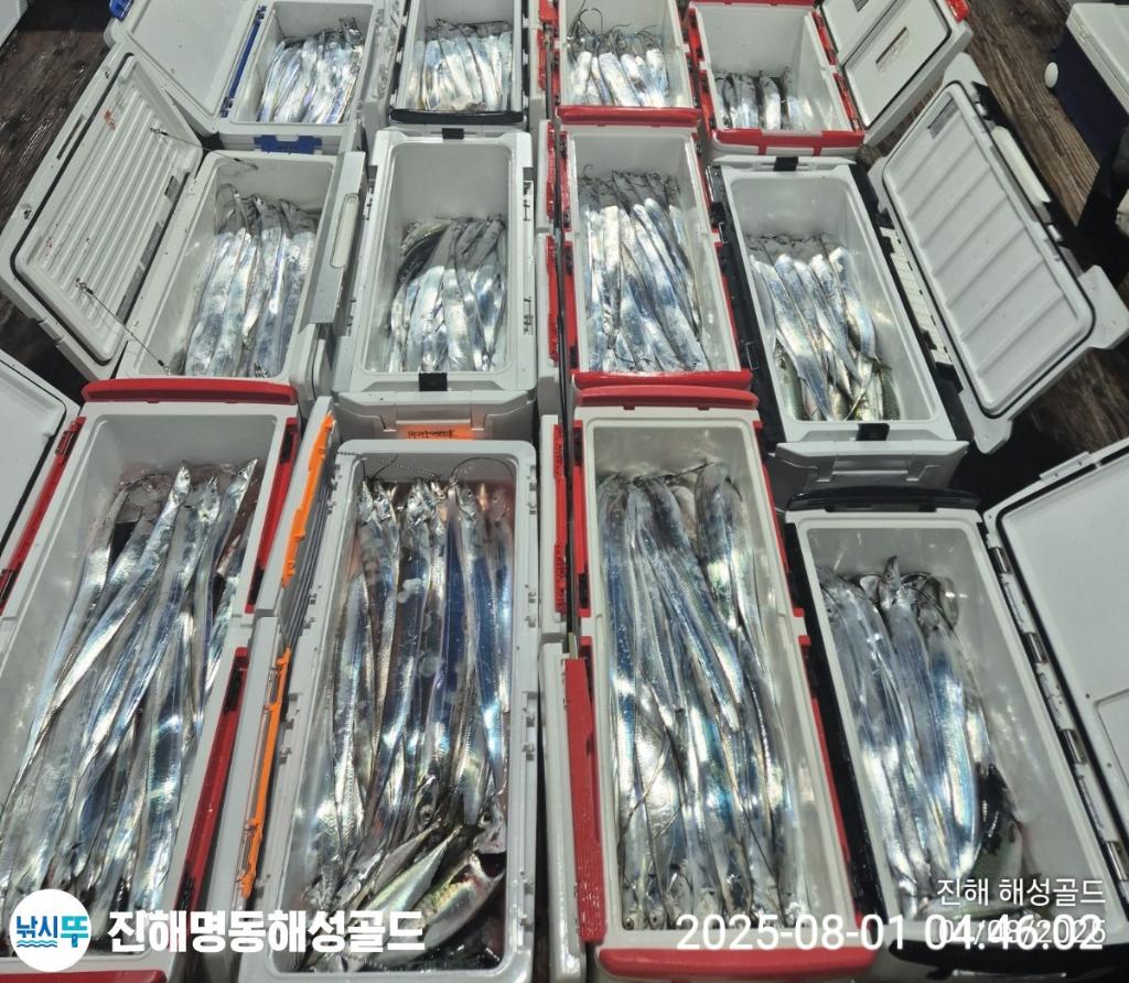 F2736855SG.jpg