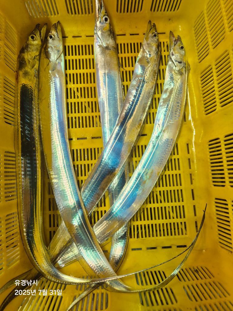 F2736973SC.jpg