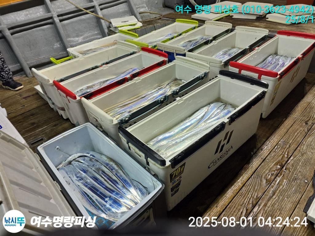 F2737118M0.jpg