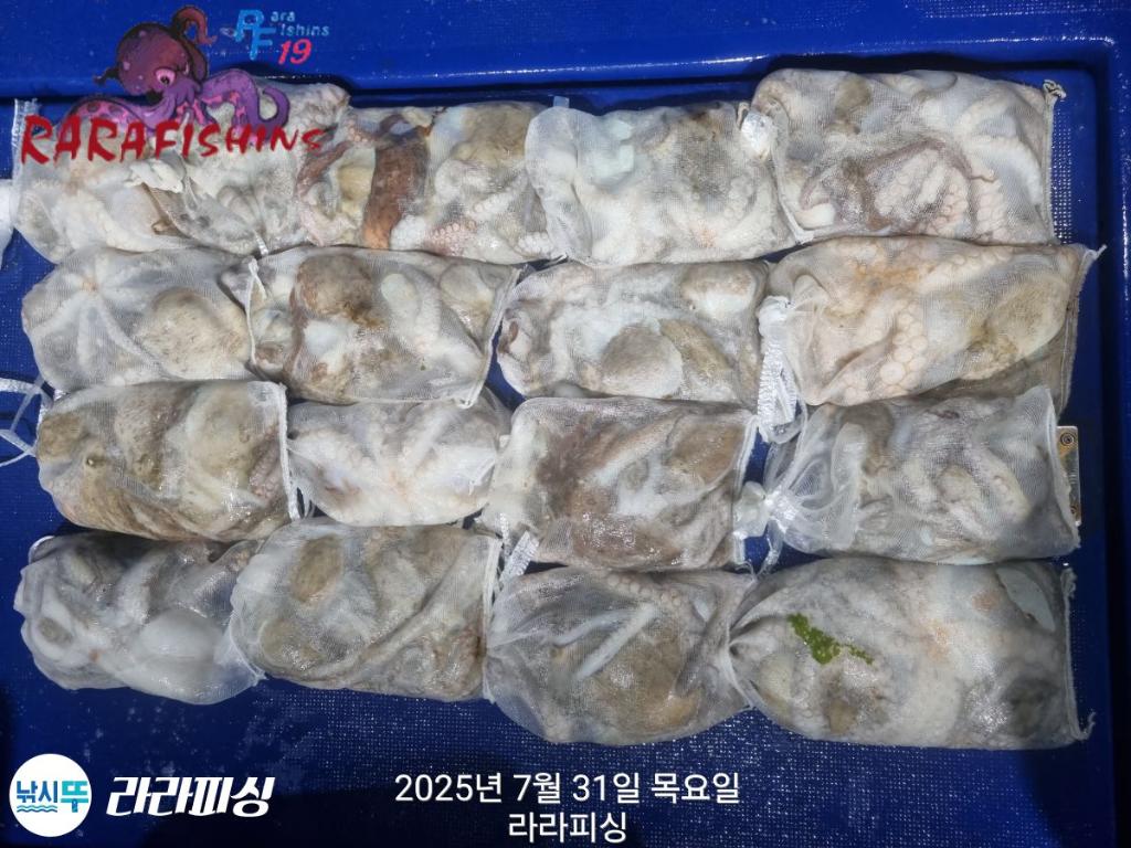 F2737251H9.jpg