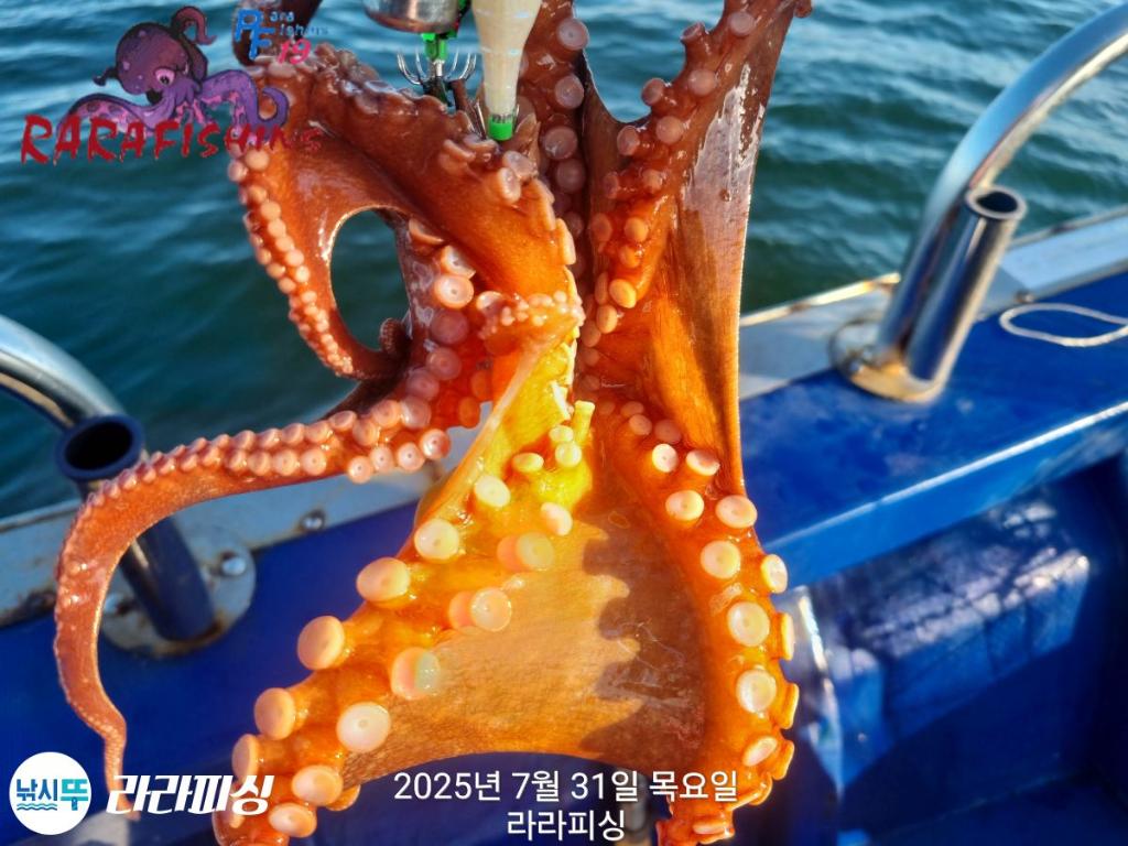 F27372587M.jpg