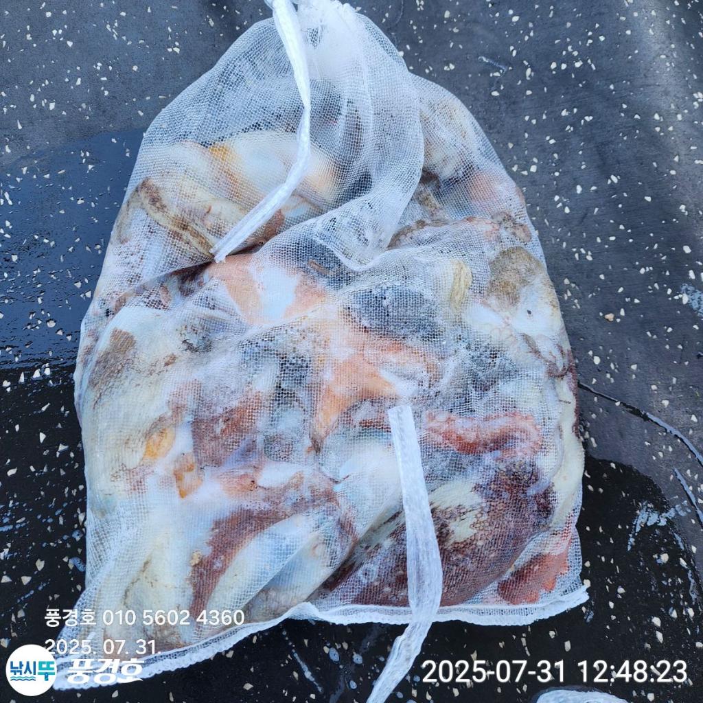 F2737387UG.jpg
