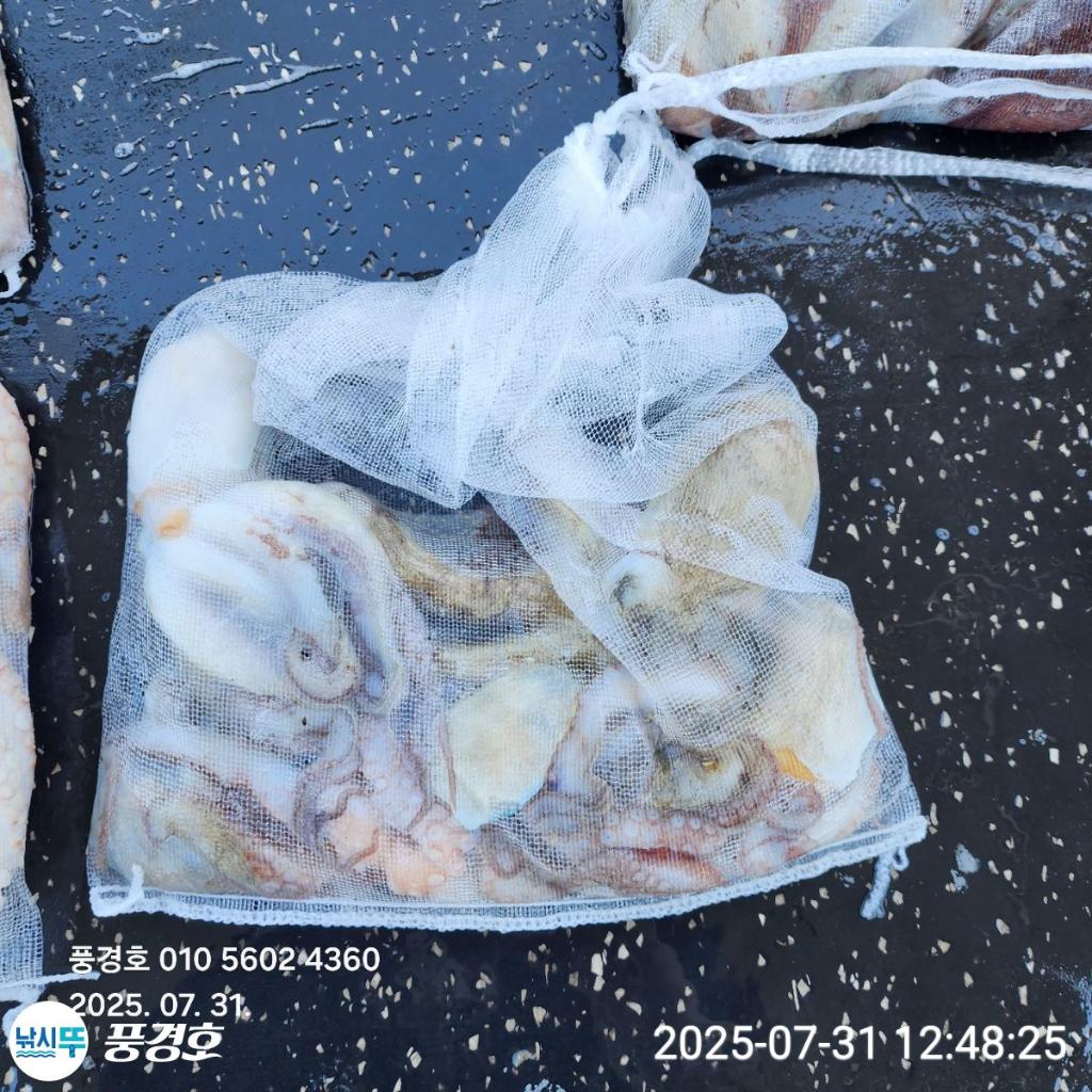 F27373882R.jpg