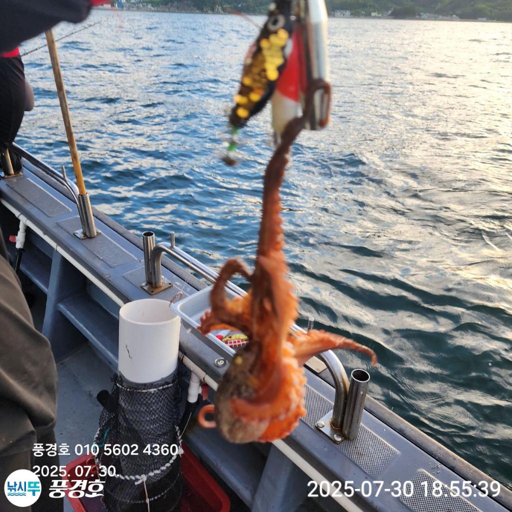 F2737392G5.jpg