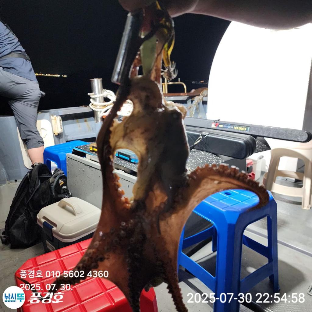 F2737398CY.jpg