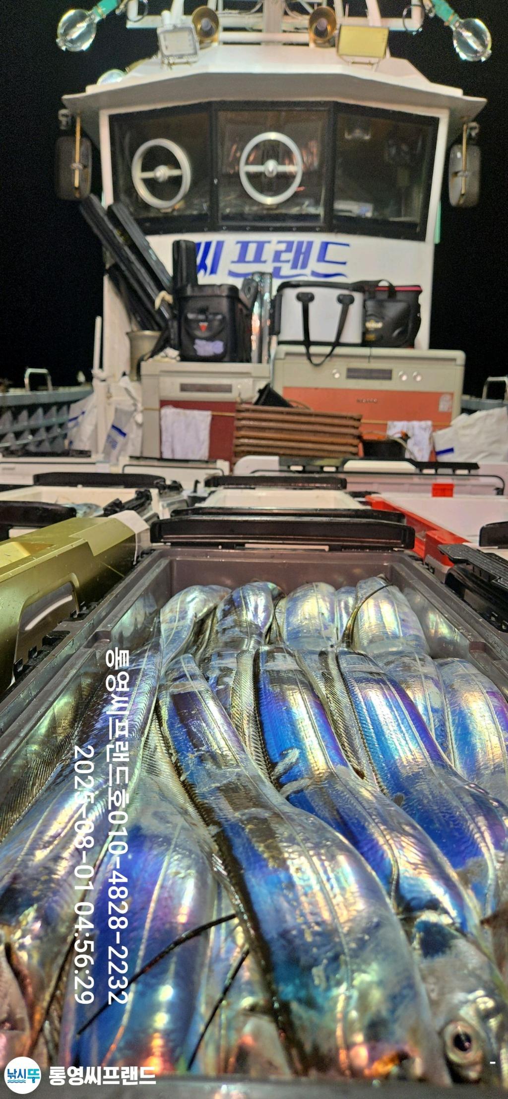 F2737513YD.jpg