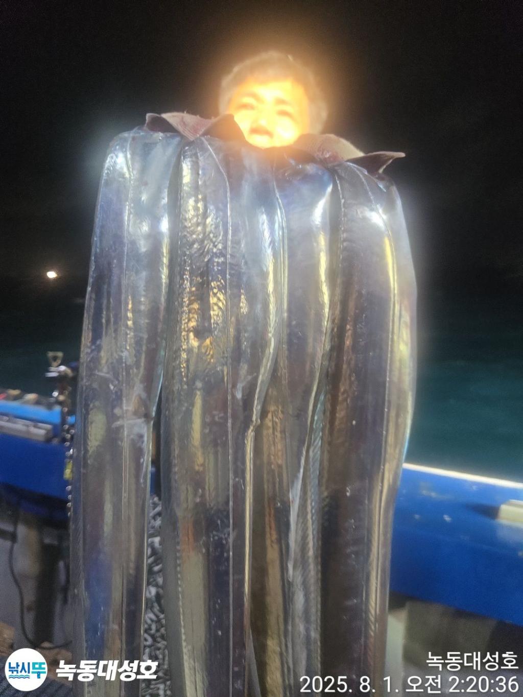 낚시뚜,갈치,녹동항,녹동대성호,낚시뚜9