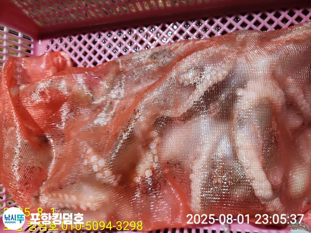 F2737630WS.jpg
