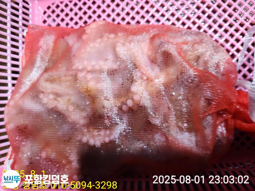 F2737634AY.jpg