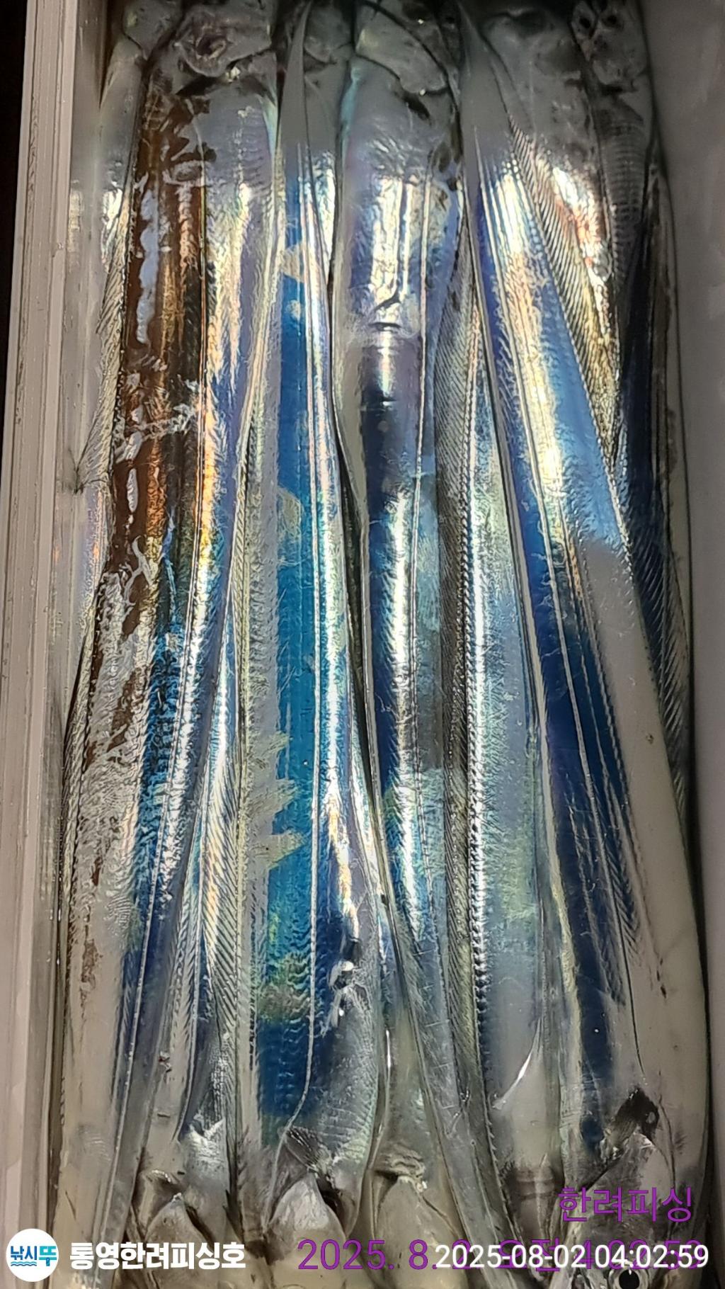 F2737710ZZ.jpg