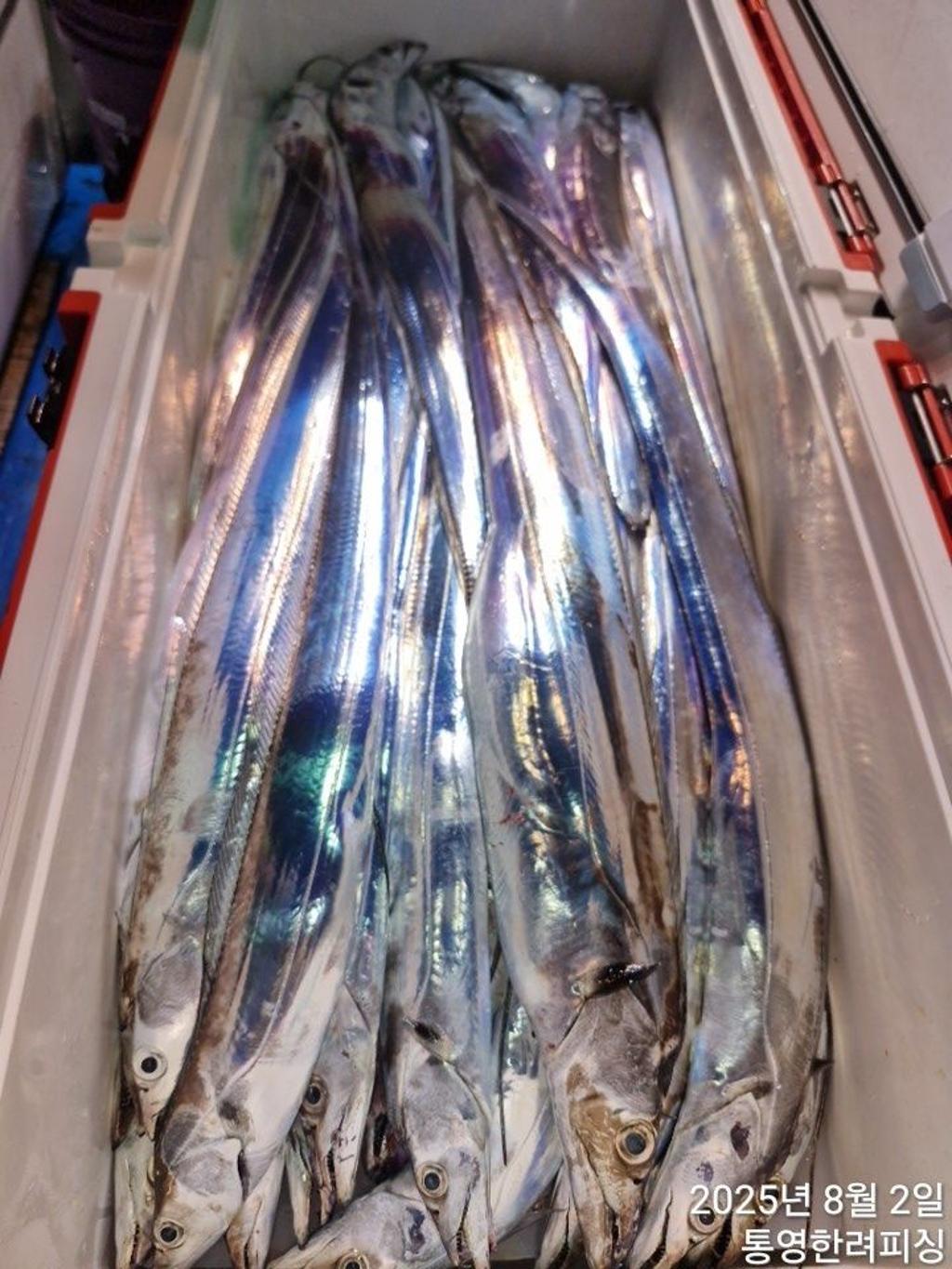 F273771507.jpg