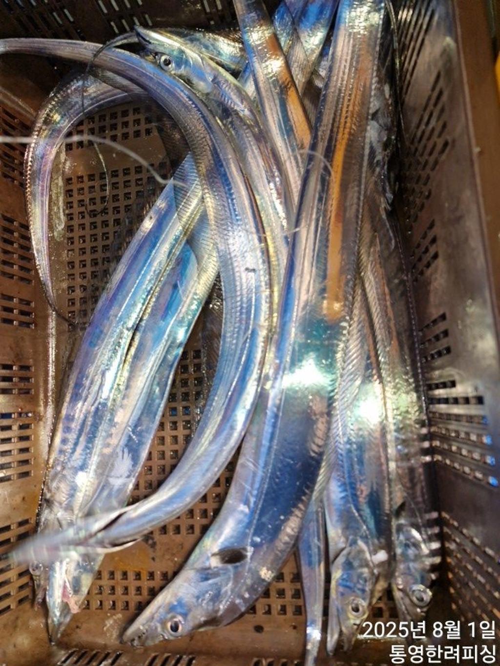 F2737722O3.jpg