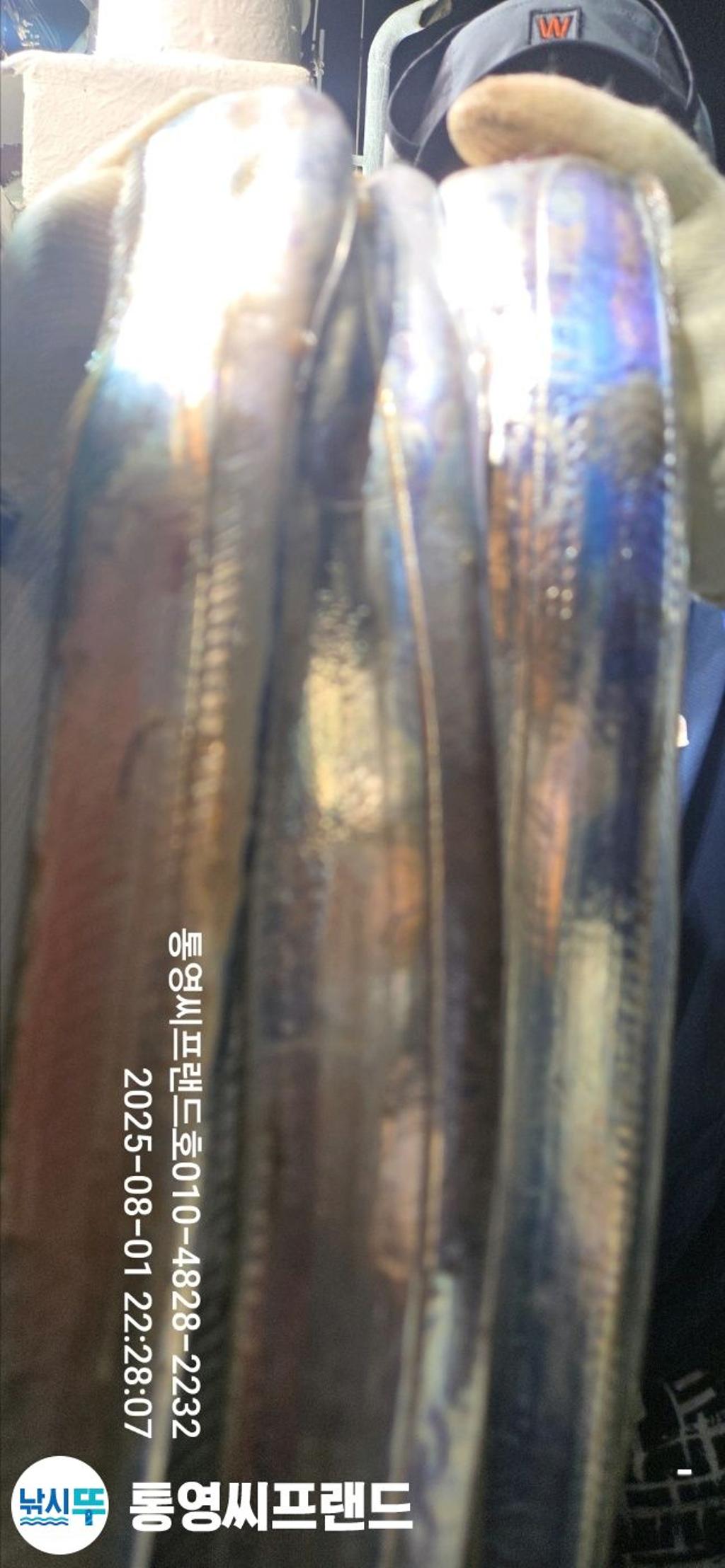 F27378973B.jpg