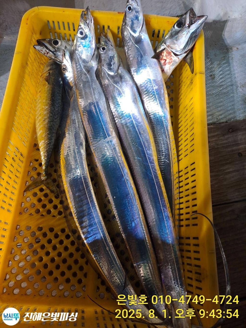 낚시뚜,갈치,진해수도항,진해은빛피싱,낚시뚜20