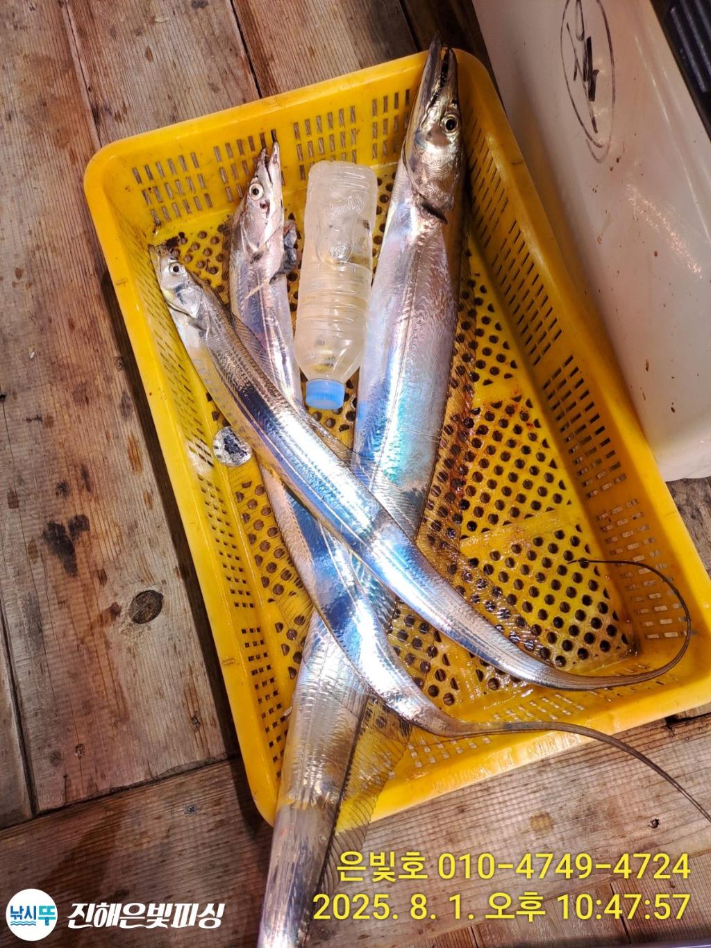 낚시뚜,갈치,진해수도항,진해은빛피싱,낚시뚜18