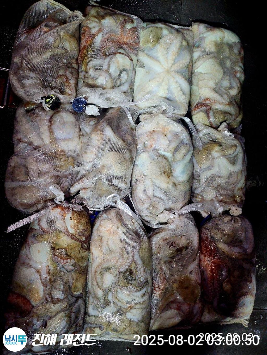 F2738497Q1.jpg