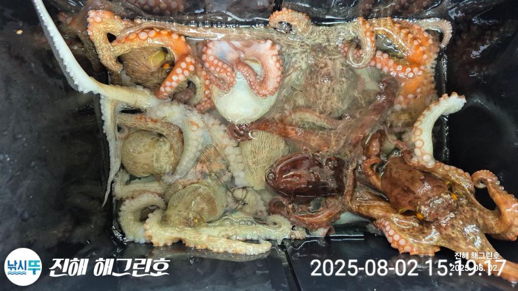 F2738642BX.jpg