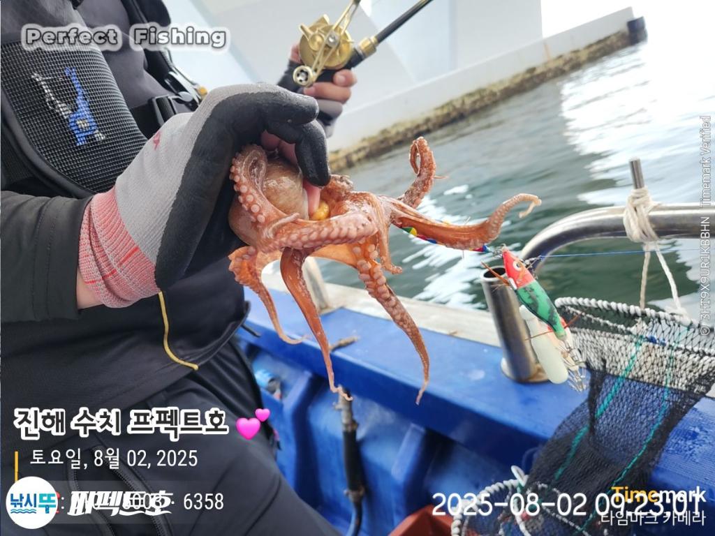 F27386821T.jpg