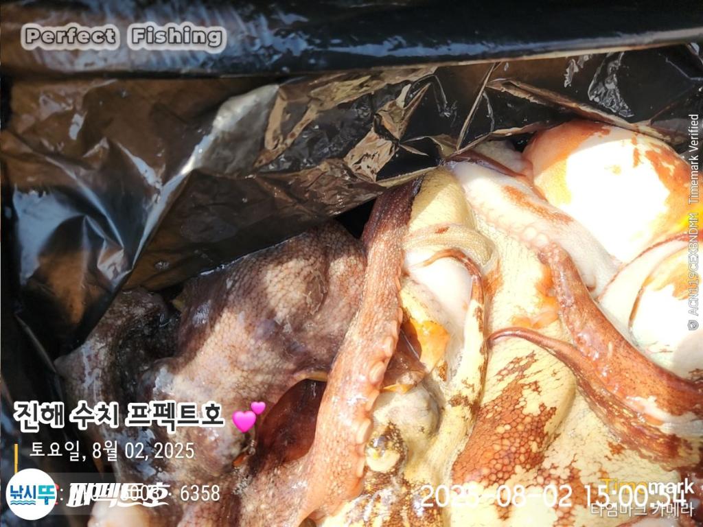F2738692RL.jpg